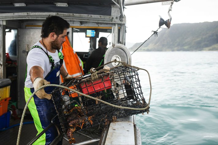 A man holds a lobster trap on the side of a boat. The boat is out at sea.