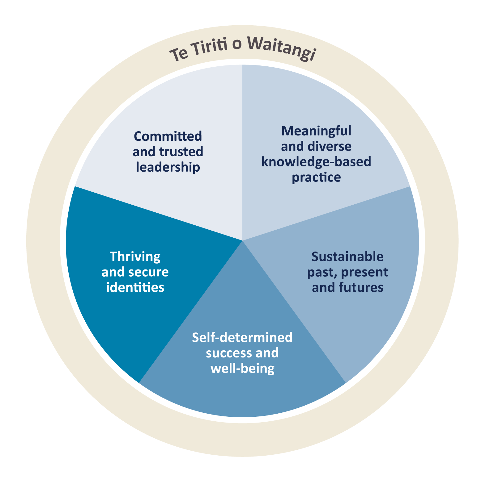 A circular diagram with 5 segments for each of the framework's criteria with Te Tiriti o Waitangi in a circle around them.