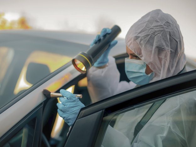 A female forensic scientist inspects a car with a brush and torch. She is wearing a white body suit, blue gloves and a blue facemask.