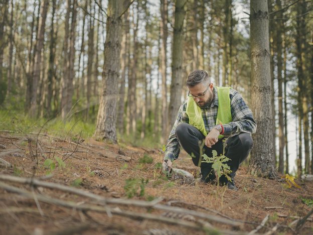 A man kneels down in a forest. He places a caliper into the ground. He wears a high visibility vest.
