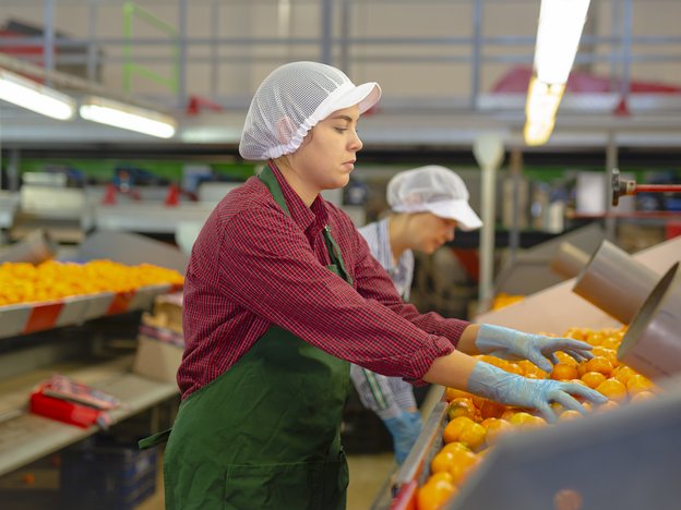 Two woman sort oranges using their hands in a processing factory. They wear white hairnets, blue gloves and green aprons.