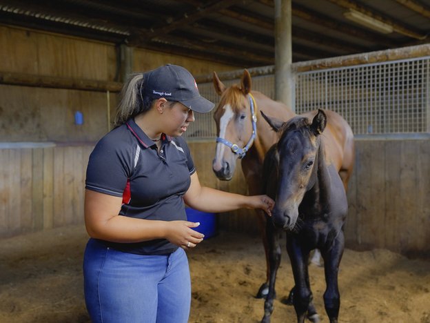 A female pats a horse in a stable.