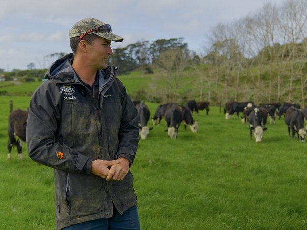 A male farmer stands in a paddock. There is a herd of cows behind him.