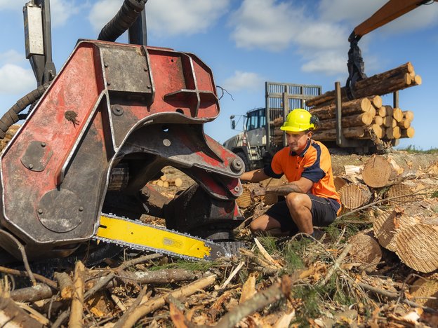 A man kneels down in front of large forestry equipment at a forestry site. There are logs of wood surrounding him. He wears an orange t-shirt and yellow helmet.