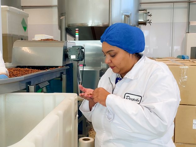 A woman checks an almond and wears a hair net and uniform.