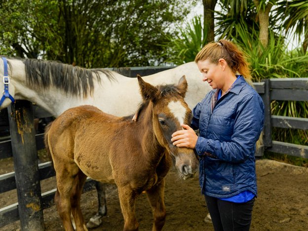 A person pats a horse. They are in a horse pen, another larger horse is standing behind them.